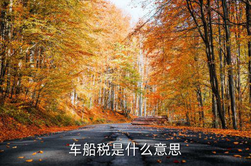 車船稅干什么用的，車船稅具體有些什么用處呢