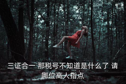 三證合一后的發(fā)票稅號(hào)是什么意思，三證合一 那稅號(hào)不知道是什么了 請(qǐng)哪位高人指點(diǎn)