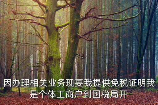 因辦理相關業(yè)務現(xiàn)要我提供免稅證明我是個體工商戶到國稅局開