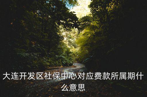 社保所屬期是什么意思，大連開發(fā)區(qū)社保中心對(duì)應(yīng)費(fèi)款所屬期什么意思