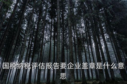 稅務(wù)國(guó)別報(bào)告是什么意思，國(guó)稅納稅評(píng)估報(bào)告要企業(yè)蓋章是什么意思