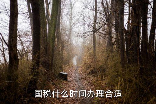 國(guó)稅局申請(qǐng)什么時(shí)候好，國(guó)稅什么時(shí)間辦理合適