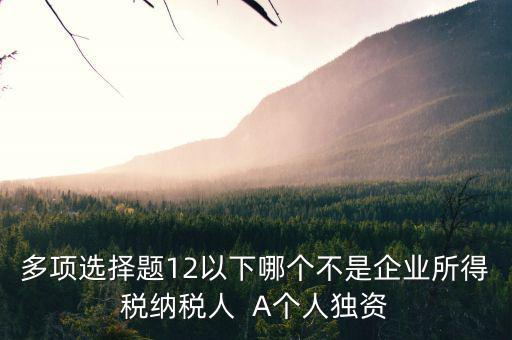 什么納稅人，多項選擇題12以下哪個不是企業(yè)所得稅納稅人  A個人獨資