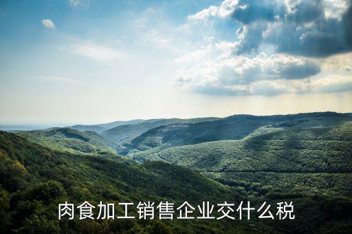 賣肉類交什么地稅，批發(fā)肉類的稅是多少