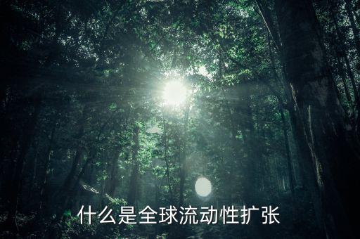 什么叫非居民風(fēng)險(xiǎn)，為什么歐洲央行負(fù)債資金來源于非居民