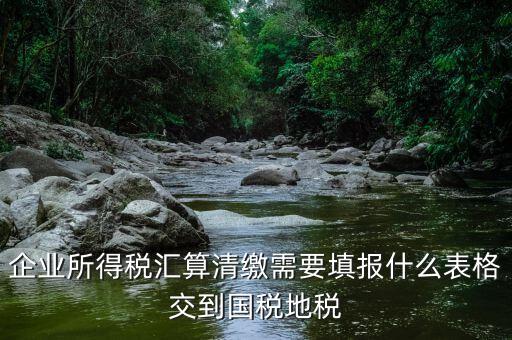 匯算清繳填寫什么表格，請教關(guān)于企業(yè)所得稅匯算清繳中需要填寫的表格的一些問題