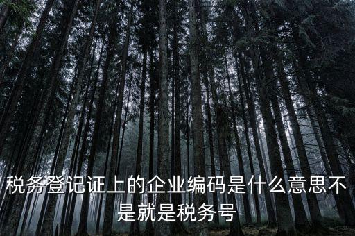 稅務(wù)編碼是什么意思，稅務(wù)登記證上的企業(yè)編碼是什么意思不是就是稅務(wù)號(hào)