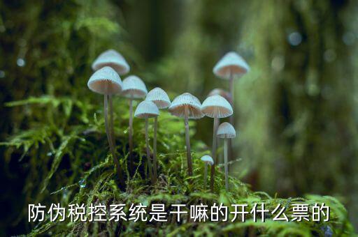 什么是稅控系統(tǒng)數(shù)據(jù)，金稅盤是什么