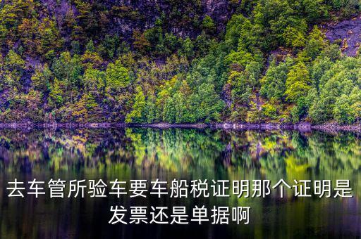 車船納稅證明是什么，車船稅證明是什么是購置稅嗎