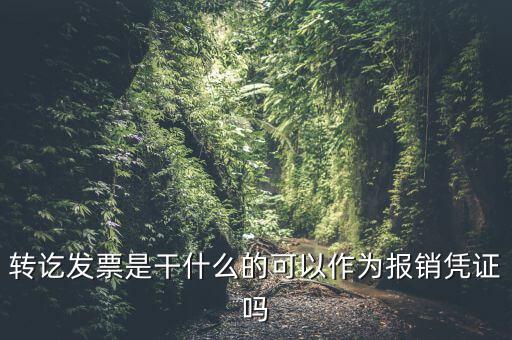 什么叫轉(zhuǎn)發(fā)票，我開(kāi)了一張農(nóng)村合作信用社的轉(zhuǎn)賬發(fā)票請(qǐng)問(wèn)什么是對(duì)應(yīng)發(fā)票