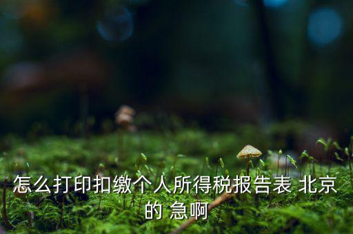 北京打印個稅需要什么資料，怎么打印扣繳個人所得稅報告表 北京的 急啊