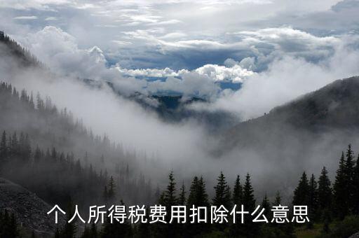 稅收扣除是什么，個(gè)人所得稅費(fèi)用扣除什么意思