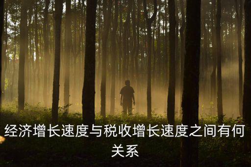 稅收增速是什么，經(jīng)濟(jì)增長(zhǎng)速度與稅收增長(zhǎng)速度之間有何關(guān)系