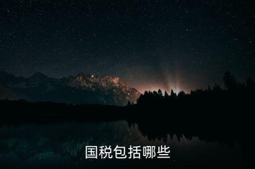 國(guó)稅綜合業(yè)務(wù)指什么，國(guó)稅包括哪些