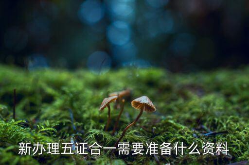 稅務(wù)五證合一需要什么資料，五證合一后稅務(wù)變更需要什么資料