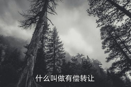 有償轉(zhuǎn)移安置什么意思，有償轉(zhuǎn)發(fā)什么意思