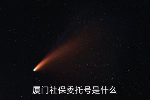 地稅社保委托號(hào)是什么，三證合一后去地稅局打社保單子說是與社保局的納稅人識(shí)別號(hào)不一