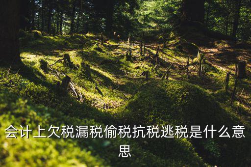 欠繳稅額是什么意思，增值稅申報表第26欄實收出口開具專用繳款書退稅額指的是什么