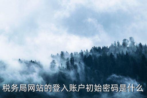 國稅網(wǎng)上登陸密碼是什么，稅務局網(wǎng)站的登入賬戶初始密碼是什么