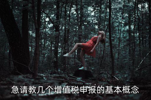 增值稅申報(bào)是什么意思，增值稅申報(bào)什么意思