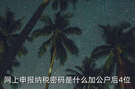 網(wǎng)上如何申報(bào)國(guó)稅密碼是什么，國(guó)稅第一次網(wǎng)上申報(bào)的登陸密碼是什么