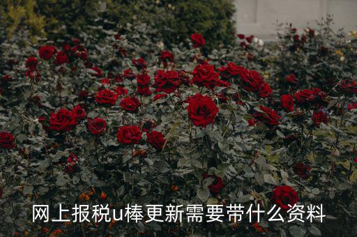 稅務u棒長什么樣，網(wǎng)上報稅u棒更新需要帶什么資料
