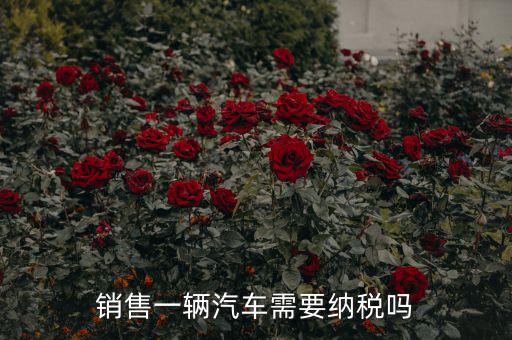 銷售汽車征收什么稅，銷售一輛汽車需要納稅嗎