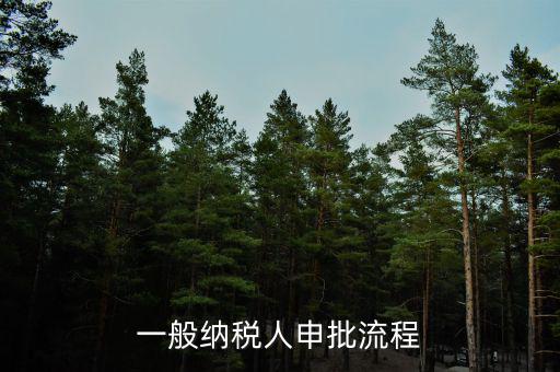 申稅需要什么手續(xù)，個(gè)體工商戶稅收 要辦理什么手續(xù)
