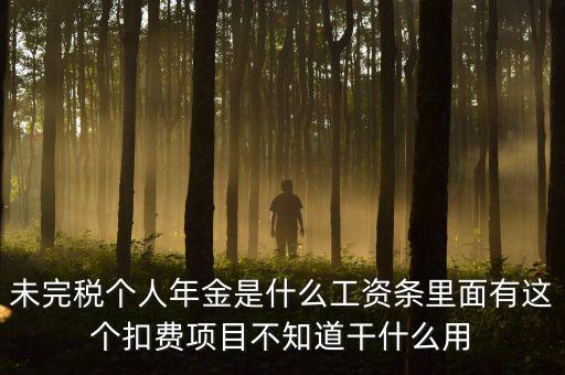 個稅年金是什么，未完稅個人年金是什么工資條里面有這個扣費項目不知道干什么用
