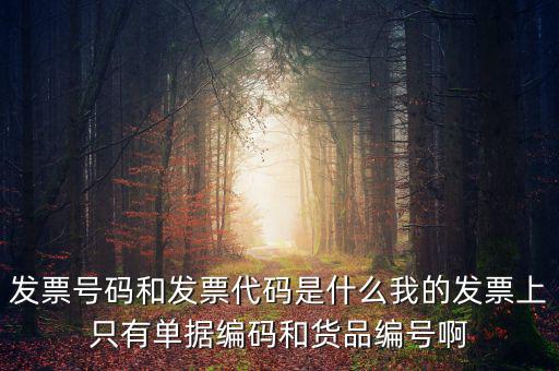 發(fā)票代碼指什么地方，增值稅普通發(fā)票的12位發(fā)票代碼在什么位置