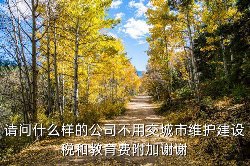 什么情況不交城建稅，什么時(shí)候不需要交納營(yíng)業(yè)稅城建稅及附加