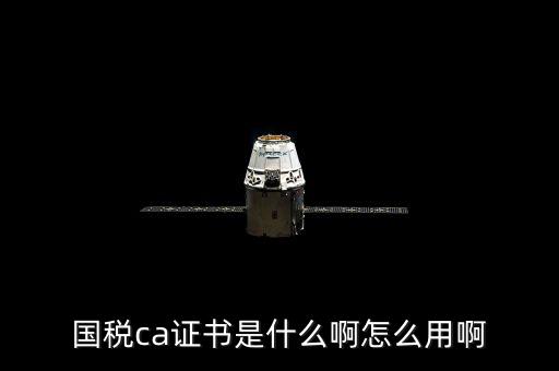 國稅的ca證書是什么意思，CA證書是什么東西包括pfx cert么