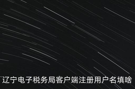 網(wǎng)上辦稅帳號是什么，登錄國稅網(wǎng)上辦稅服務(wù)廳的用戶名和密碼是什么