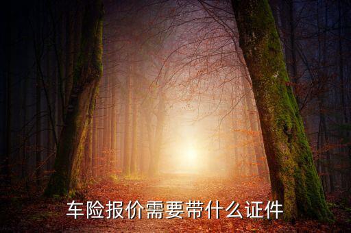 車輛保險(xiǎn)專票需要什么，車險(xiǎn)報(bào)價(jià)需要帶什么證件