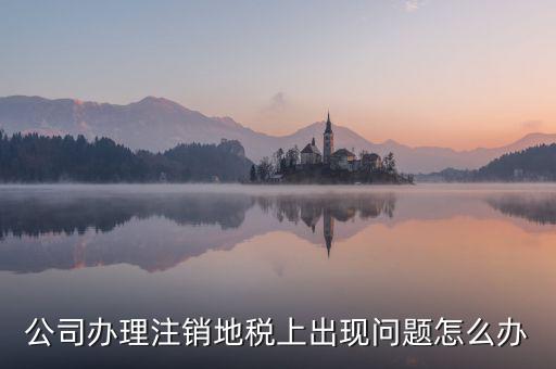 公司辦理注銷(xiāo)地稅上出現(xiàn)問(wèn)題怎么辦