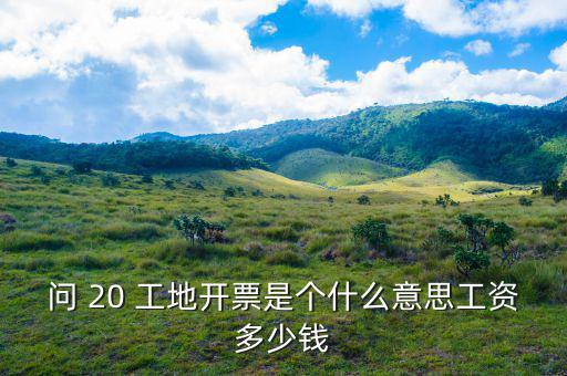 開票界面是指什么意思，會計的開票是什么意思