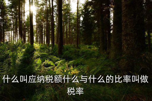 什么叫應(yīng)用稅額，各種收入等于應(yīng)用稅額除以什么