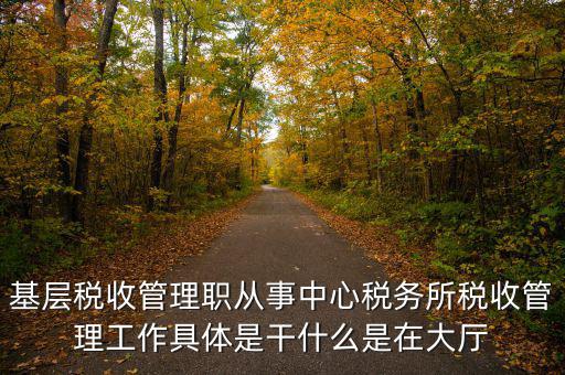 稅源管理干什么，基層稅收管理職從事中心稅務(wù)所稅收管理工作具體是干什么是在大廳