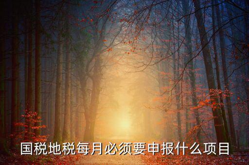 國稅月初申報(bào)什么，國稅地稅每月必須要申報(bào)什么項(xiàng)目