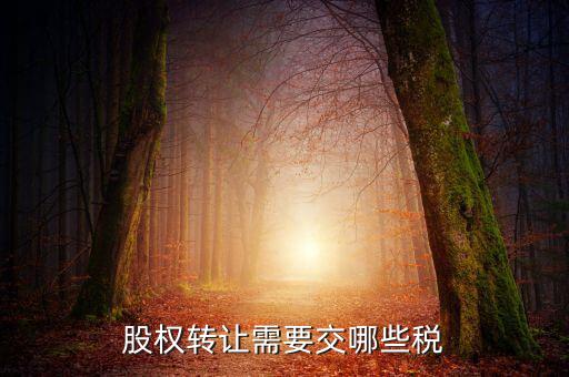 股權(quán)轉(zhuǎn)讓需要繳納什么稅，股權(quán)轉(zhuǎn)讓要交什么稅