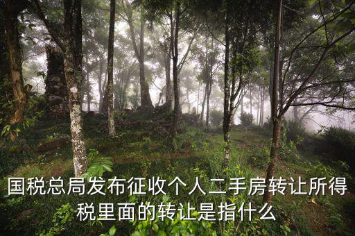 稅收轉(zhuǎn)讓是什么，國(guó)稅總局發(fā)布征收個(gè)人二手房轉(zhuǎn)讓所得稅里面的轉(zhuǎn)讓是指什么