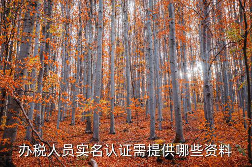 實名辦稅需要什么資料，在國稅局辦理法人實名制認證要帶什么材料