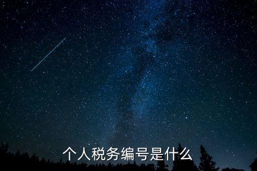 個(gè)人的稅收編號是什么，個(gè)人所得稅里面的注冊編碼是什么