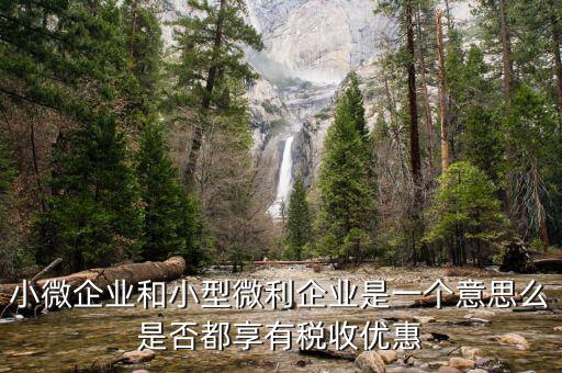 小型微利企業(yè)是什么，小微企業(yè)和小型微利企業(yè)是一個(gè)意思么是否都享有稅收優(yōu)惠
