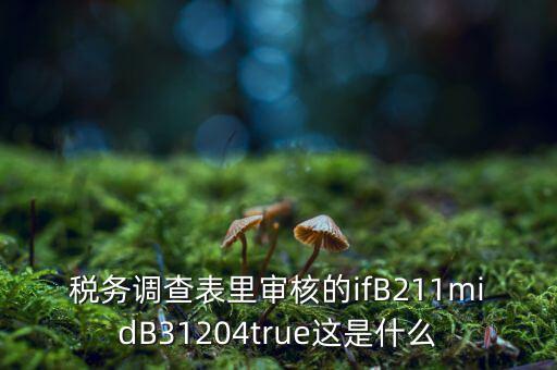 國(guó)稅調(diào)查表有什么意義，國(guó)稅要求地址普查的目的是什么