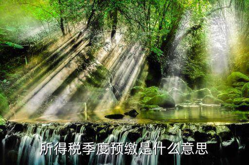 預(yù)繳所得稅是什么意思，新辦企業(yè)預(yù)繳所得稅是什么意思