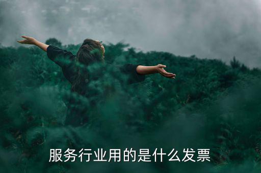 服務(wù)業(yè)發(fā)票是什么發(fā)票，服務(wù)發(fā)票是不是普通發(fā)票的一種