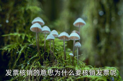 為什么要發(fā)票核銷，發(fā)票核銷的意思為什么要核銷發(fā)票呢