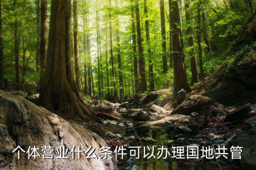 國(guó)地管戶類型是什么，國(guó)稅地稅共管戶