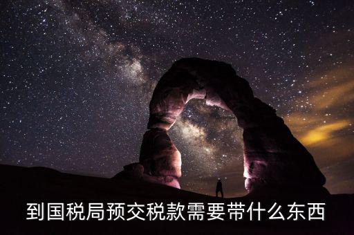 預繳稅金需要什么資料，到國稅局預交稅款需要帶什么東西